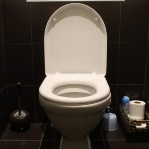 toilet, wc, toilet room